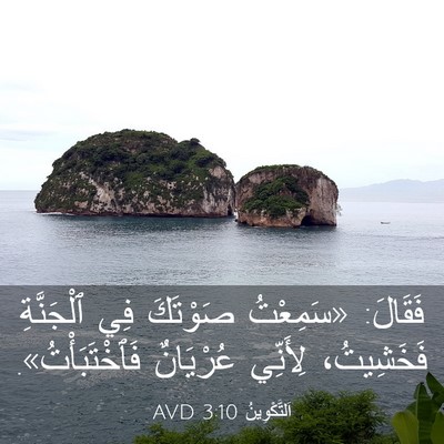 Picture 03 - اَلتَّكْوِينُ 3:10 AVD - فَقَالَ: «سَمِعْتُ - Bible Verse Picture