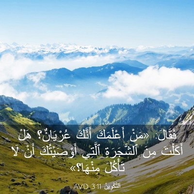 Picture 03 - اَلتَّكْوِينُ 3:11 AVD - فَقَالَ: «مَنْ أَعْلَمَكَ - Bible Verse Picture