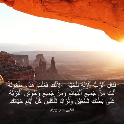 Picture 03 - اَلتَّكْوِينُ 3:14 AVD - فَقَالَ ٱلرَّبُّ - Bible Verse Picture
