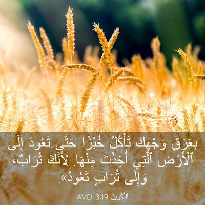 Picture 03 - اَلتَّكْوِينُ 3:19 AVD - بِعَرَقِ وَجْهِكَ - Bible Verse Picture