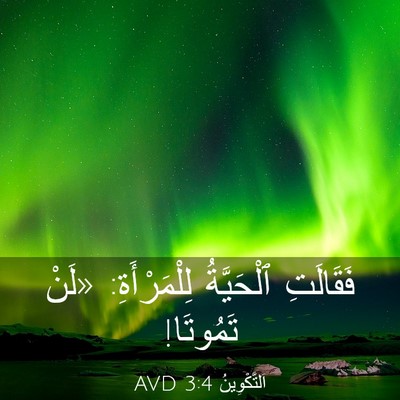 Picture 03 - اَلتَّكْوِينُ 3:4 AVD - فَقَالَتِ ٱلْحَيَّةُ - Bible Verse Picture