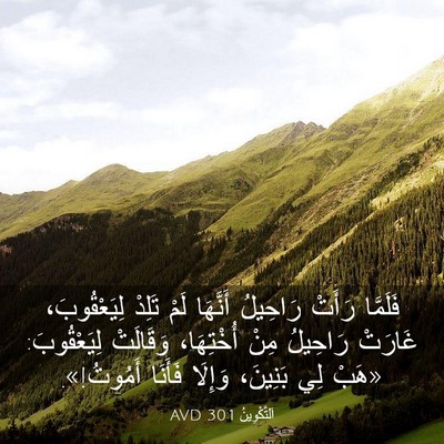 Picture 03 - اَلتَّكْوِينُ 30:1 AVD - فَلَمَّا رَأَتْ رَاحِيلُ - Bible Verse Picture
