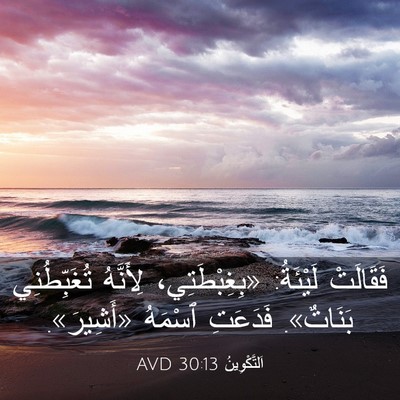 Picture 03 - اَلتَّكْوِينُ 30:13 AVD - فَقَالَتْ لَيْئَةُ: - Bible Verse Picture