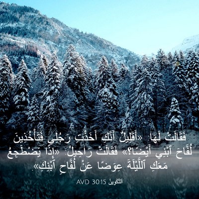 Picture 03 - اَلتَّكْوِينُ 30:15 AVD - فَقَالَتْ لَهَا: - Bible Verse Picture
