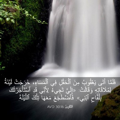Picture 03 - اَلتَّكْوِينُ 30:16 AVD - فَلَمَّا أَتَى يَعْقُوبُ - Bible Verse Picture