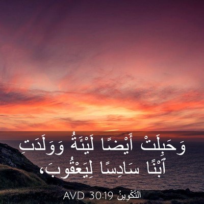 Picture 03 - اَلتَّكْوِينُ 30:19 AVD - وَحَبِلَتْ أَيْضًا - Bible Verse Picture