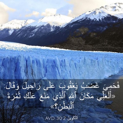 Picture 03 - اَلتَّكْوِينُ 30:2 AVD - فَحَمِيَ غَضَبُ يَعْقُوبَ - Bible Verse Picture