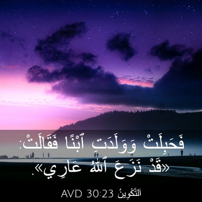 Picture 03 - اَلتَّكْوِينُ 30:23 AVD - فَحَبِلَتْ وَوَلَدَتِ - Bible Verse Picture