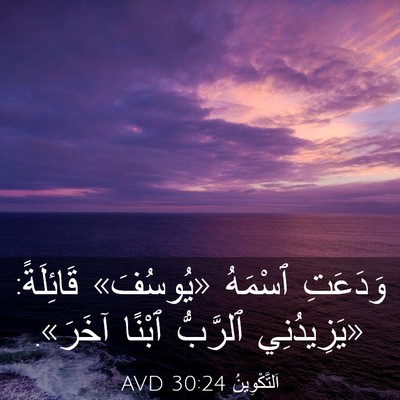 Picture 03 - اَلتَّكْوِينُ 30:24 AVD - وَدَعَتِ ٱسْمَهُ - Bible Verse Picture