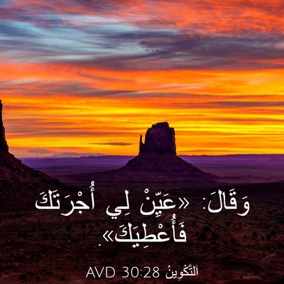 Picture 03 - اَلتَّكْوِينُ 30:28 AVD - وَقَالَ: «عَيِّنْ لِي - Bible Verse Picture