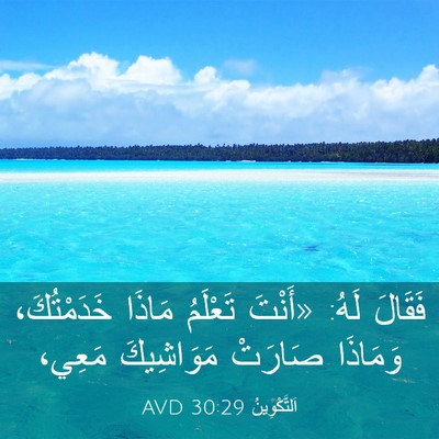 Picture 03 - اَلتَّكْوِينُ 30:29 AVD - فَقَالَ لَهُ: «أَنْتَ - Bible Verse Picture