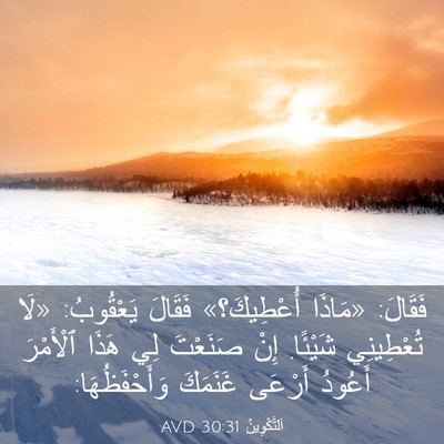 Picture 03 - اَلتَّكْوِينُ 30:31 AVD - فَقَالَ: «مَاذَا - Bible Verse Picture