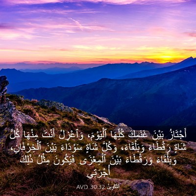 Picture 03 - اَلتَّكْوِينُ 30:32 AVD - أَجْتَازُ بَيْنَ غَنَمِكَ - Bible Verse Picture