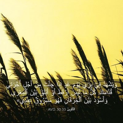 Picture 03 - اَلتَّكْوِينُ 30:33 AVD - وَيَشْهَدُ فِيَّ بِرِّي - Bible Verse Picture