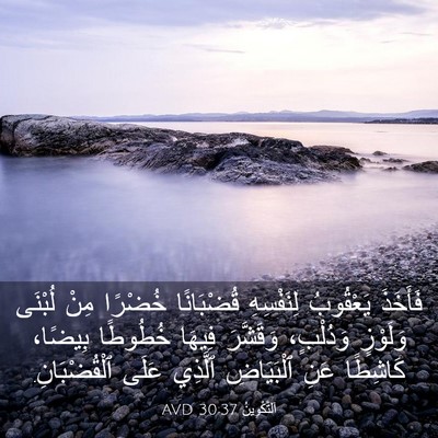 Picture 03 - اَلتَّكْوِينُ 30:37 AVD - فَأَخَذَ يَعْقُوبُ - Bible Verse Picture