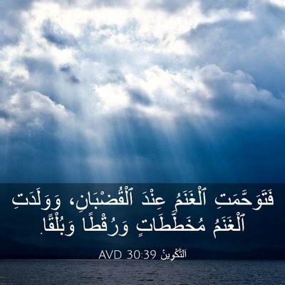 Picture 03 - اَلتَّكْوِينُ 30:39 AVD - فَتَوَحَّمَتِ ٱلْغَنَمُ - Bible Verse Picture