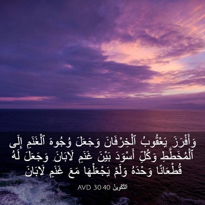 Picture 03 - اَلتَّكْوِينُ 30:40 AVD - وَأَفْرَزَ يَعْقُوبُ - Bible Verse Picture