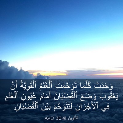 Picture 03 - اَلتَّكْوِينُ 30:41 AVD - وَحَدَثَ كُلَّمَا - Bible Verse Picture
