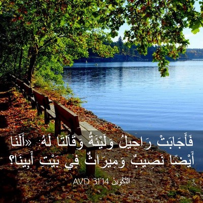 Picture 03 - اَلتَّكْوِينُ 31:14 AVD - فَأَجَابَتْ رَاحِيلُ - Bible Verse Picture