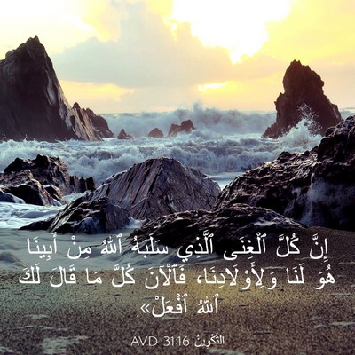 Picture 03 - اَلتَّكْوِينُ 31:16 AVD - إِنَّ كُلَّ ٱلْغِنَى - Bible Verse Picture