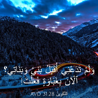 Picture 03 - اَلتَّكْوِينُ 31:28 AVD - وَلَمْ تَدَعْنِي - Bible Verse Picture