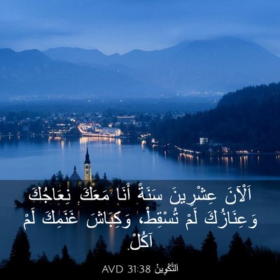 Picture 03 - اَلتَّكْوِينُ 31:38 AVD - اَلْآنَ عِشْرِينَ سَنَةً - Bible Verse Picture