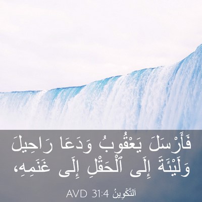 Picture 03 - اَلتَّكْوِينُ 31:4 AVD - فَأَرْسَلَ يَعْقُوبُ - Bible Verse Picture