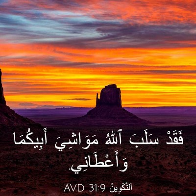 Picture 03 - اَلتَّكْوِينُ 31:9 AVD - فَقَدْ سَلَبَ ٱللهُ - Bible Verse Picture