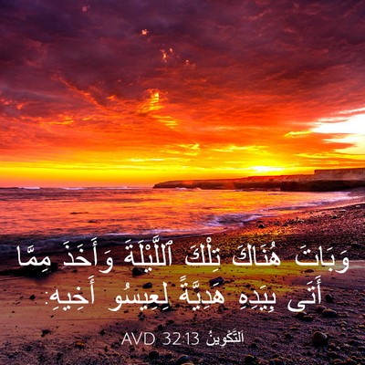 Picture 03 - اَلتَّكْوِينُ 32:13 AVD - وَبَاتَ هُنَاكَ تِلْكَ - Bible Verse Picture