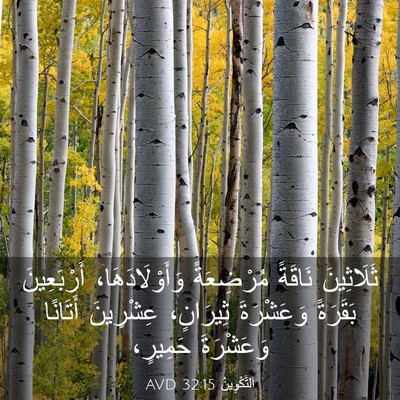 Picture 03 - اَلتَّكْوِينُ 32:15 AVD - ثَلَاثِينَ نَاقَةً - Bible Verse Picture