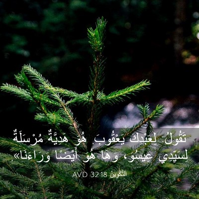Picture 03 - اَلتَّكْوِينُ 32:18 AVD - تَقُولُ: لِعَبْدِكَ - Bible Verse Picture