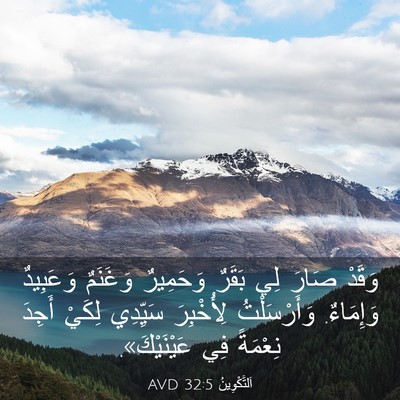 Picture 03 - اَلتَّكْوِينُ 32:5 AVD - وَقَدْ صَارَ لِي بَقَرٌ - Bible Verse Picture