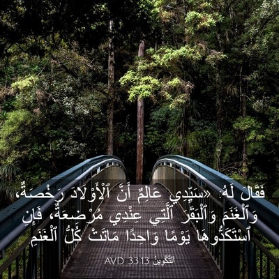 Picture 03 - اَلتَّكْوِينُ 33:13 AVD - فَقَالَ لَهُ: «سَيِّدِي - Bible Verse Picture