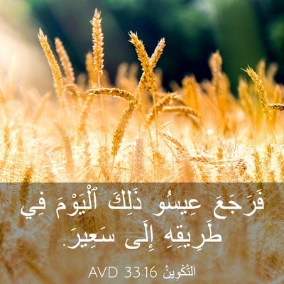 Picture 03 - اَلتَّكْوِينُ 33:16 AVD - فَرَجَعَ عِيسُو ذَلِكَ - Bible Verse Picture
