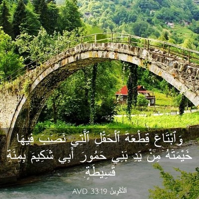 Picture 03 - اَلتَّكْوِينُ 33:19 AVD - وَٱبْتَاعَ قِطْعَةَ - Bible Verse Picture