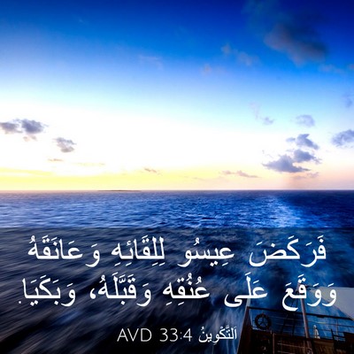 Picture 03 - اَلتَّكْوِينُ 33:4 AVD - فَرَكَضَ عِيسُو - Bible Verse Picture
