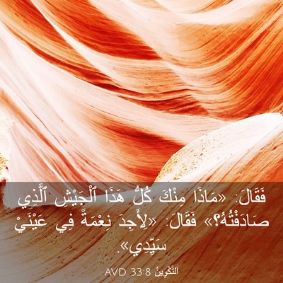Picture 03 - اَلتَّكْوِينُ 33:8 AVD - فَقَالَ: «مَاذَا مِنْكَ - Bible Verse Picture