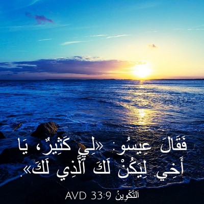 Picture 03 - اَلتَّكْوِينُ 33:9 AVD - فَقَالَ عِيسُو: «لِي - Bible Verse Picture