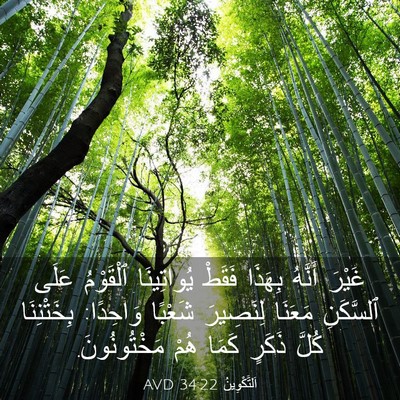 Picture 03 - اَلتَّكْوِينُ 34:22 AVD - غَيْرَ أَنَّهُ بِهَذَا - Bible Verse Picture