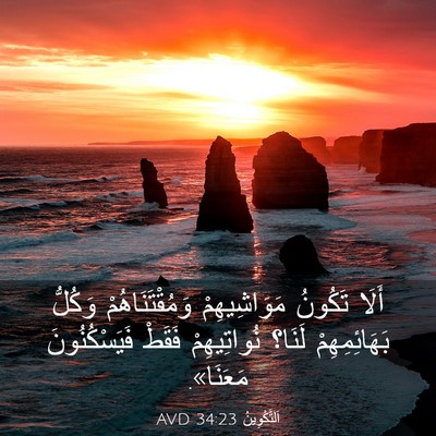 Picture 03 - اَلتَّكْوِينُ 34:23 AVD - أَلَا تَكُونُ - Bible Verse Picture