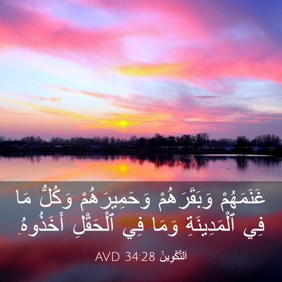 Picture 03 - اَلتَّكْوِينُ 34:28 AVD - غَنَمَهُمْ وَبَقَرَهُمْ - Bible Verse Picture