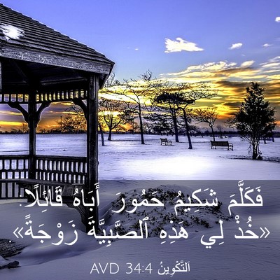 Picture 03 - اَلتَّكْوِينُ 34:4 AVD - فَكَلَّمَ شَكِيمُ حَمُورَ - Bible Verse Picture