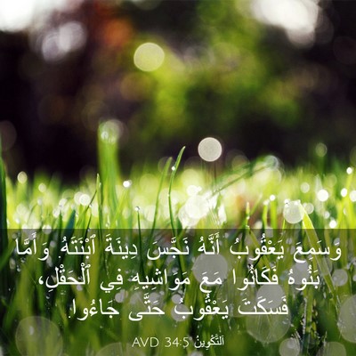 Picture 03 - اَلتَّكْوِينُ 34:5 AVD - وَسَمِعَ يَعْقُوبُ - Bible Verse Picture