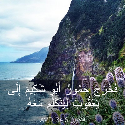 Picture 03 - اَلتَّكْوِينُ 34:6 AVD - فَخَرَجَ حَمُورُ أَبُو - Bible Verse Picture