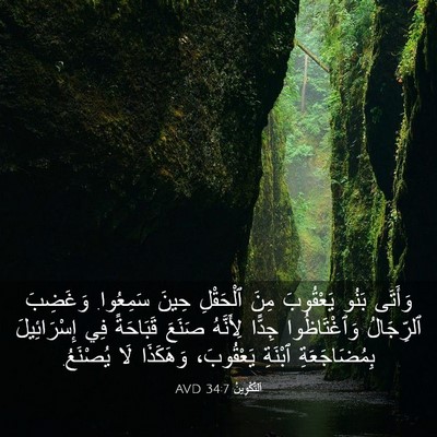 Picture 03 - اَلتَّكْوِينُ 34:7 AVD - وَأَتَى بَنُو يَعْقُوبَ - Bible Verse Picture