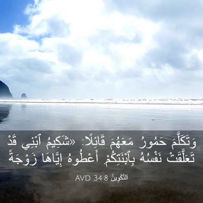 Picture 03 - اَلتَّكْوِينُ 34:8 AVD - وَتَكَلَّمَ حَمُورُ - Bible Verse Picture