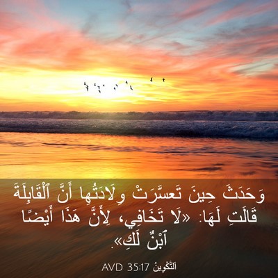Picture 03 - اَلتَّكْوِينُ 35:17 AVD - وَحَدَثَ حِينَ تَعسَّرَتْ - Bible Verse Picture