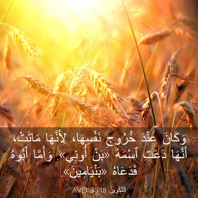 Picture 03 - اَلتَّكْوِينُ 35:18 AVD - وَكَانَ عِنْدَ خُرُوجِ - Bible Verse Picture