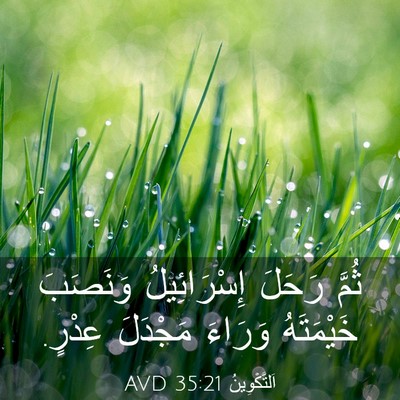 Picture 03 - اَلتَّكْوِينُ 35:21 AVD - ثُمَّ رَحَلَ إِسْرَائِيلُ - Bible Verse Picture