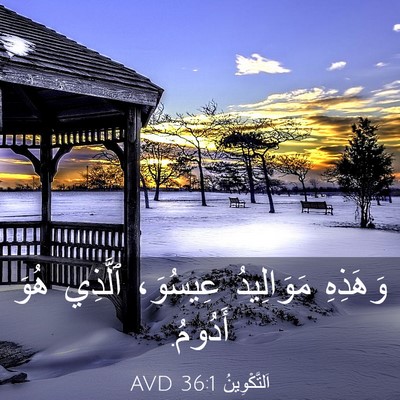 Picture 03 - اَلتَّكْوِينُ 36:1 AVD - وَهَذِهِ مَوَالِيدُ - Bible Verse Picture